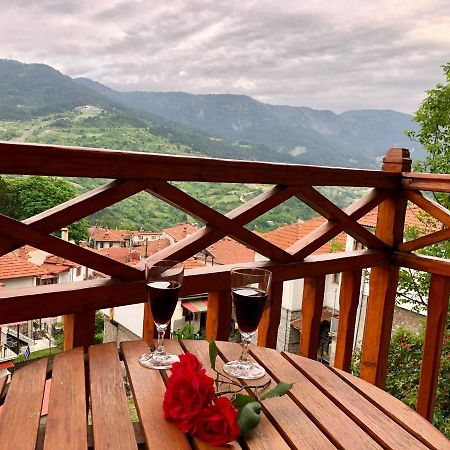 Apostolos Hotel Metsovo Exteriér fotografie
