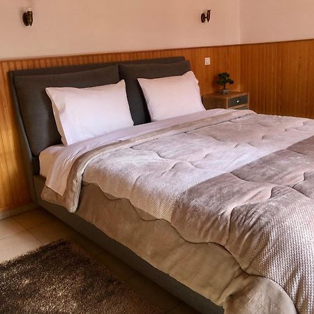 Apostolos Hotel Metsovo Exteriér fotografie