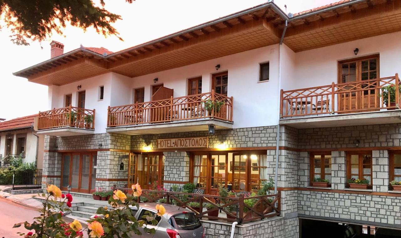Apostolos Hotel Metsovo Exteriér fotografie