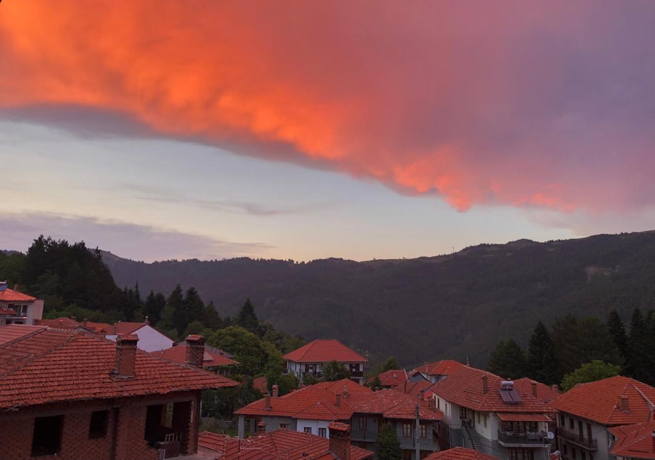Apostolos Hotel Metsovo Exteriér fotografie