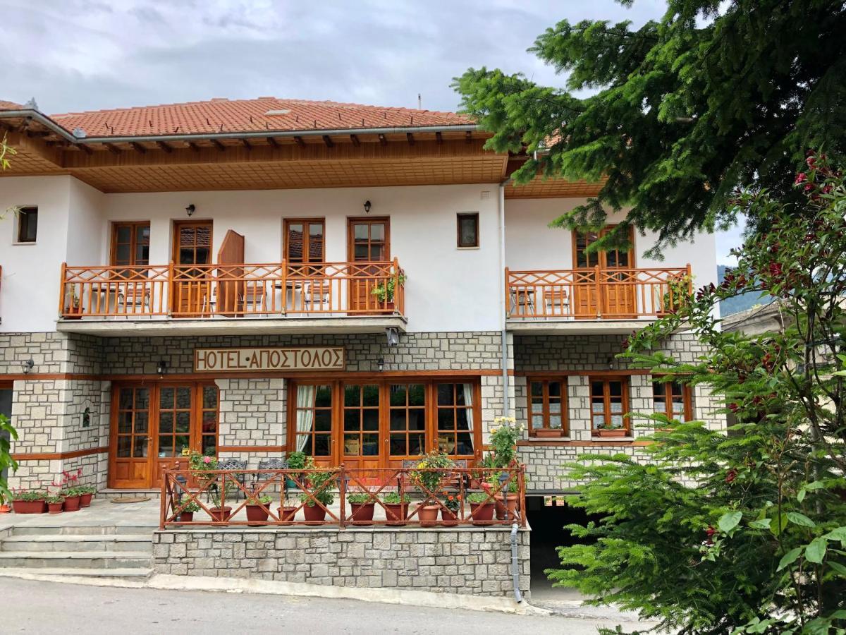 Apostolos Hotel Metsovo Exteriér fotografie