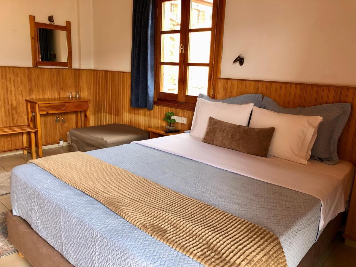 Apostolos Hotel Metsovo Exteriér fotografie