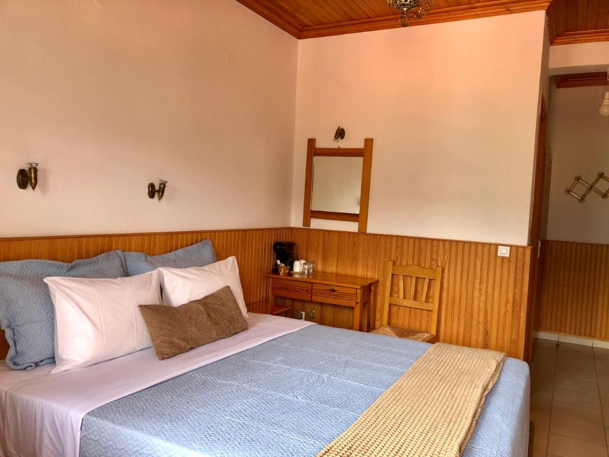 Apostolos Hotel Metsovo Exteriér fotografie