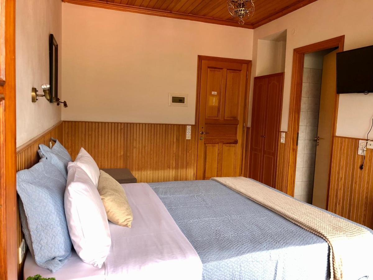 Apostolos Hotel Metsovo Exteriér fotografie