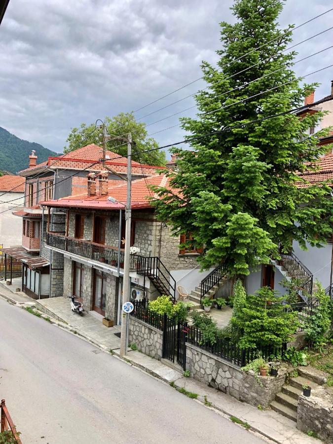 Apostolos Hotel Metsovo Exteriér fotografie