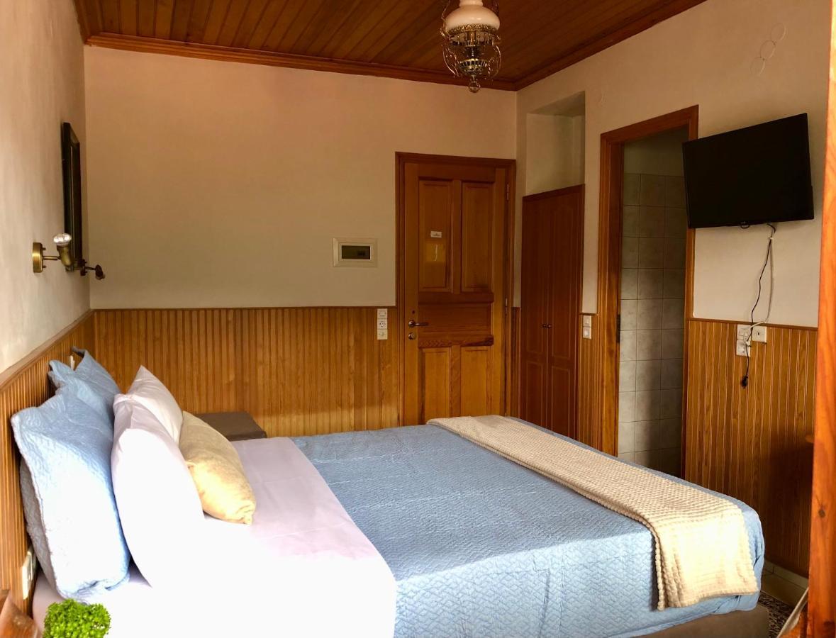 Apostolos Hotel Metsovo Exteriér fotografie