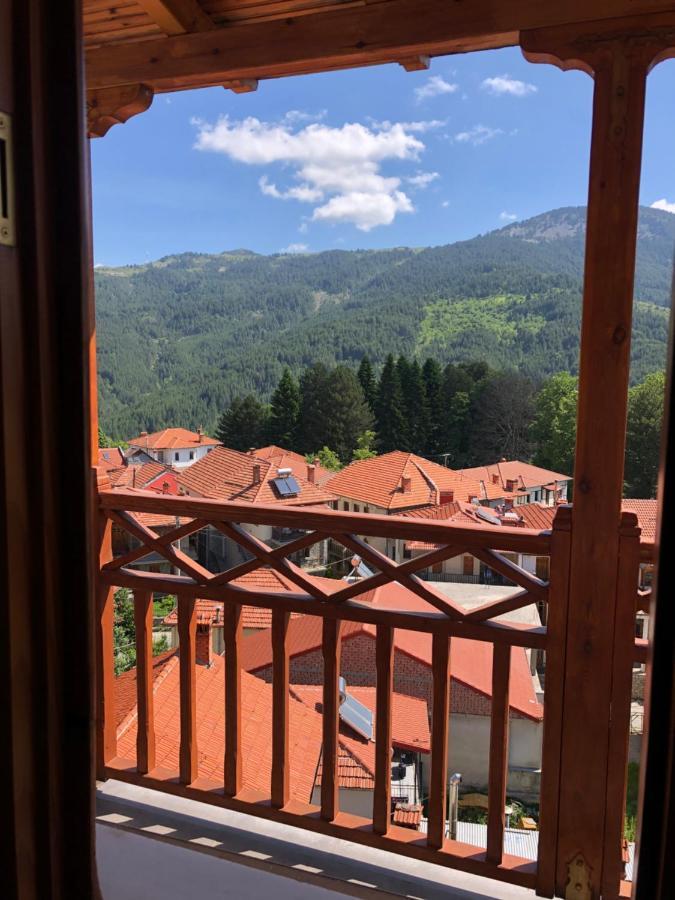 Apostolos Hotel Metsovo Exteriér fotografie