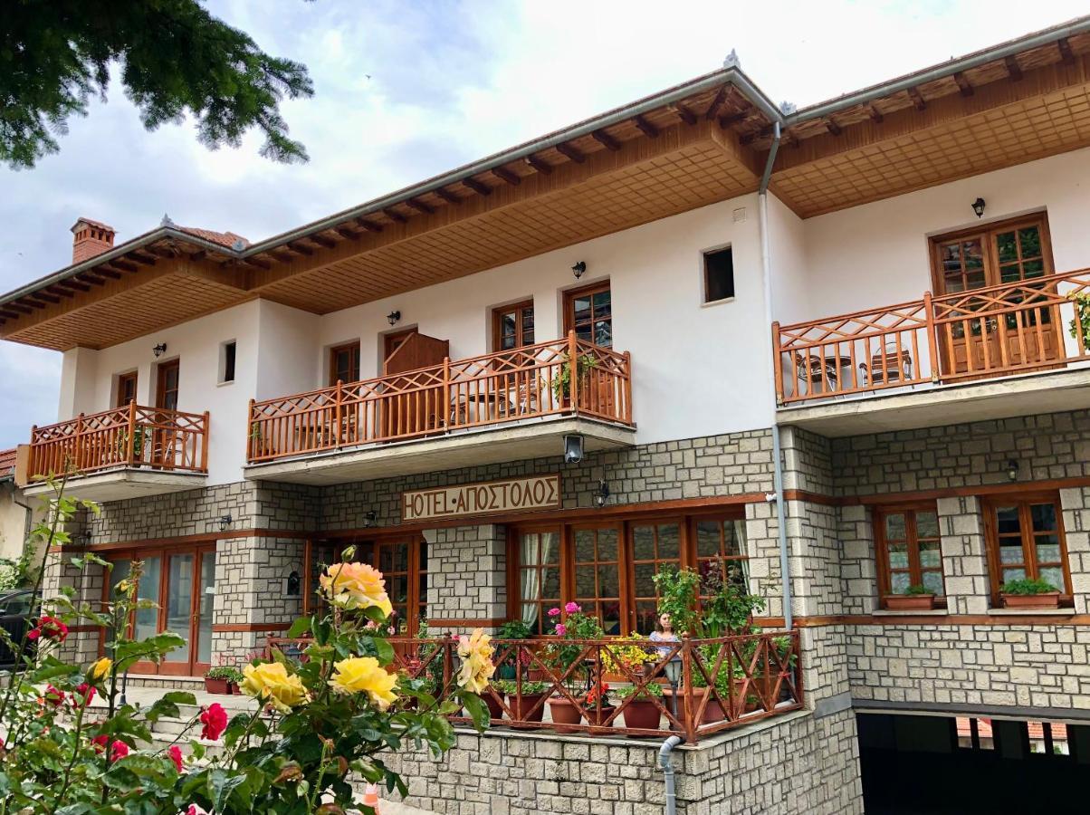 Apostolos Hotel Metsovo Exteriér fotografie