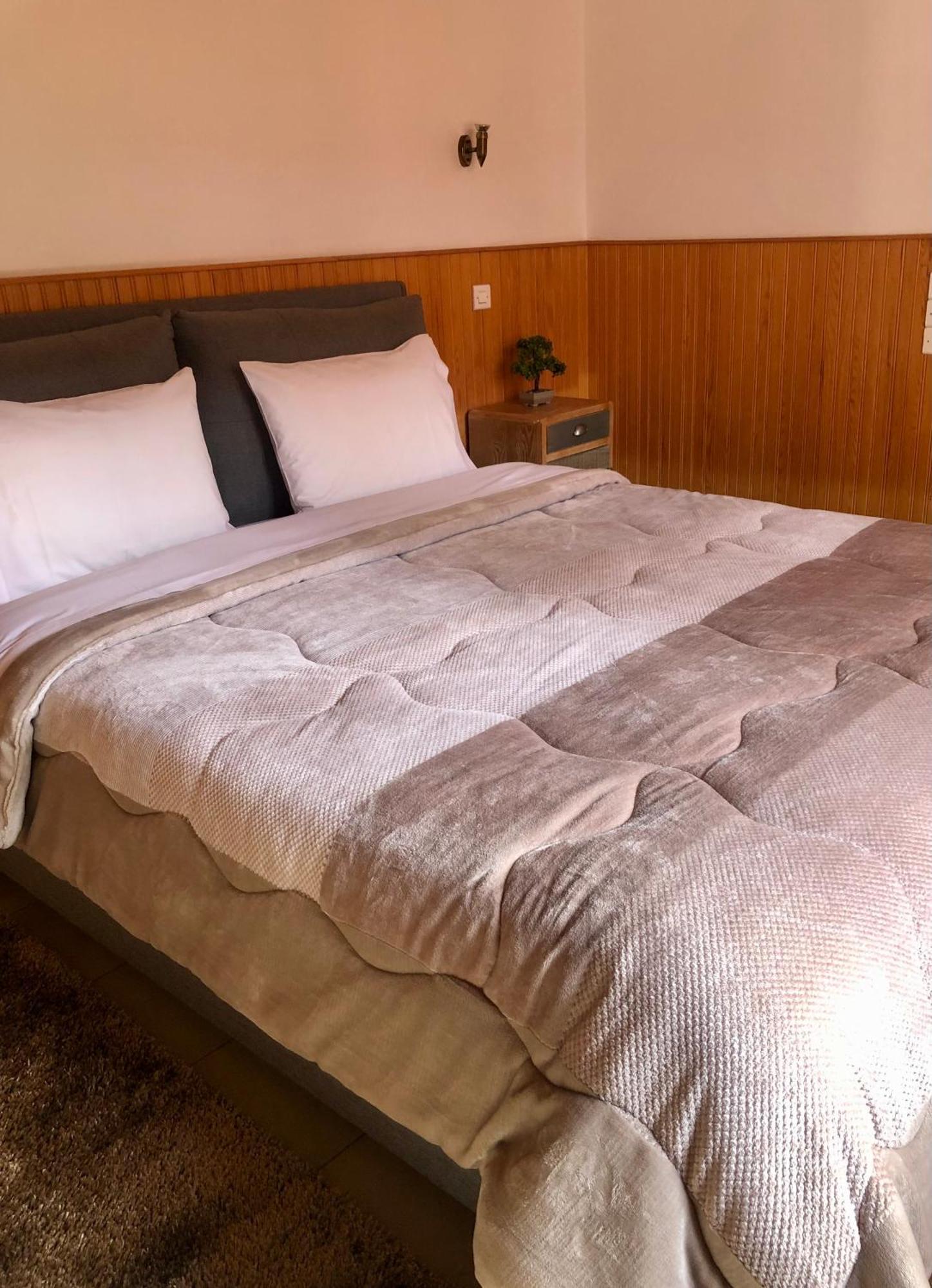 Apostolos Hotel Metsovo Exteriér fotografie