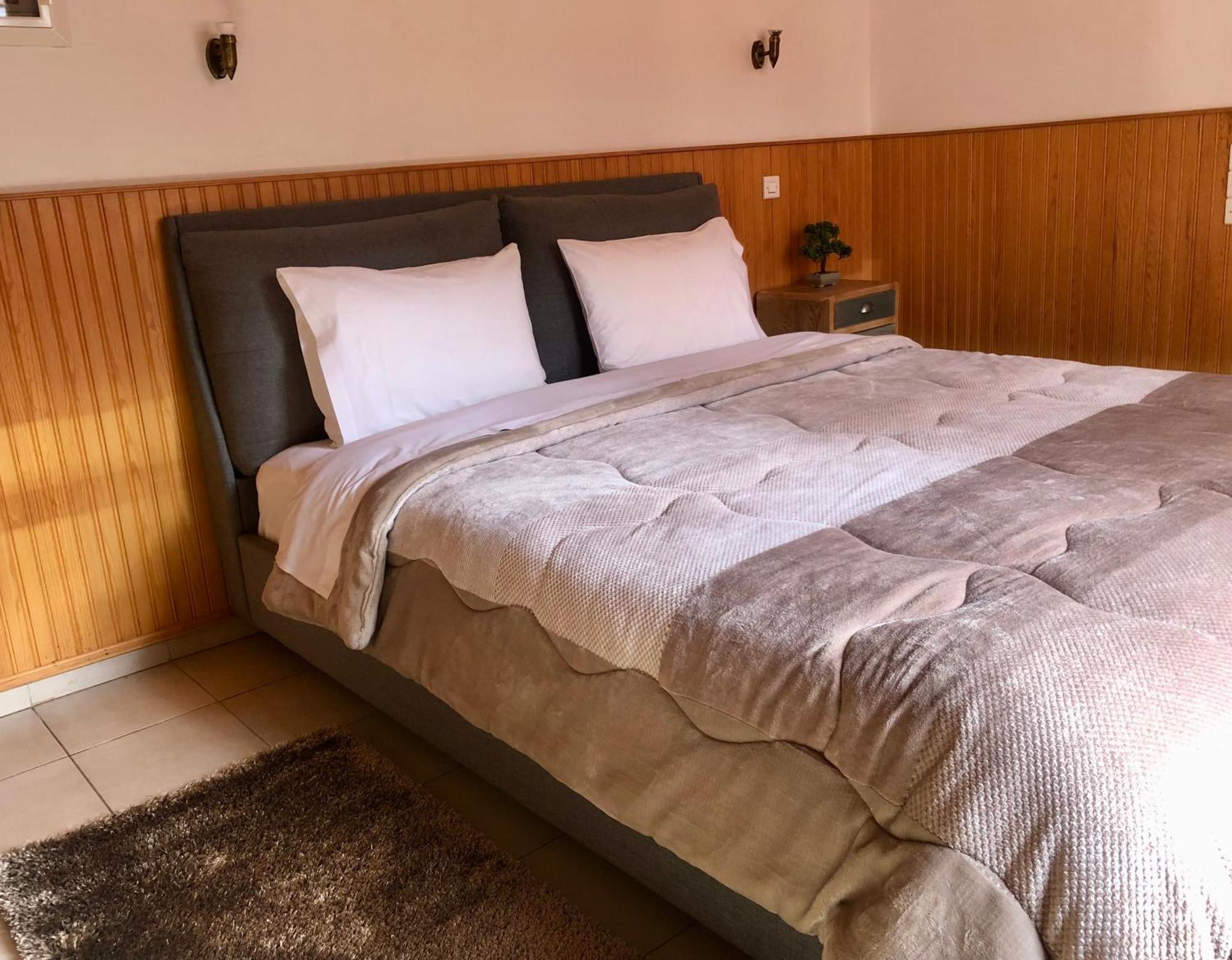 Apostolos Hotel Metsovo Exteriér fotografie