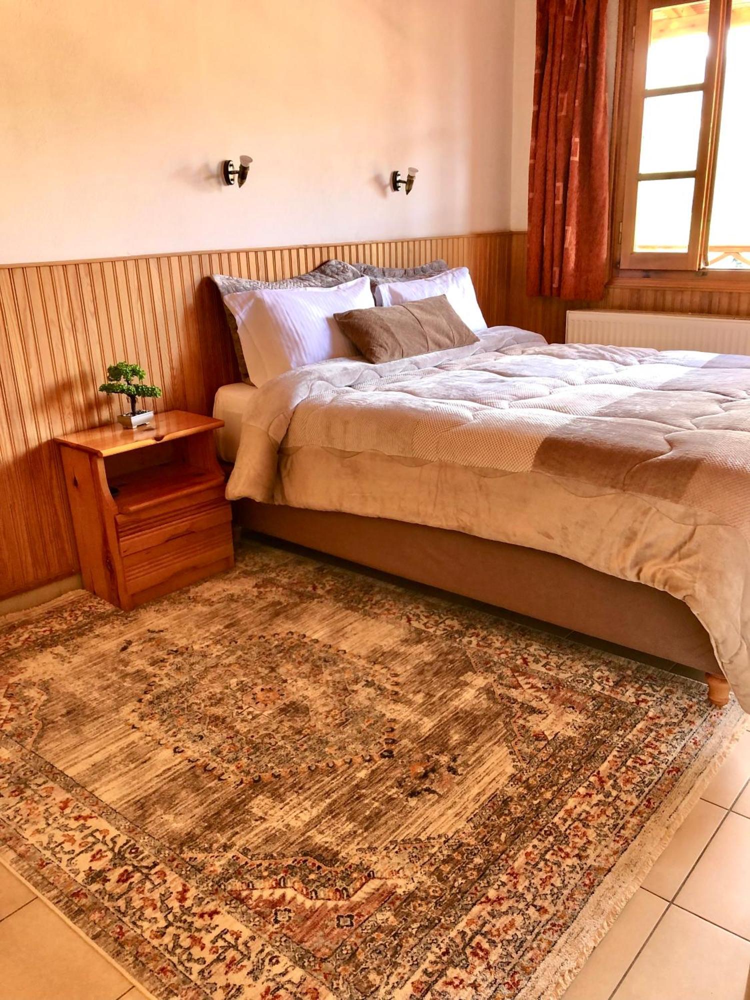 Apostolos Hotel Metsovo Exteriér fotografie