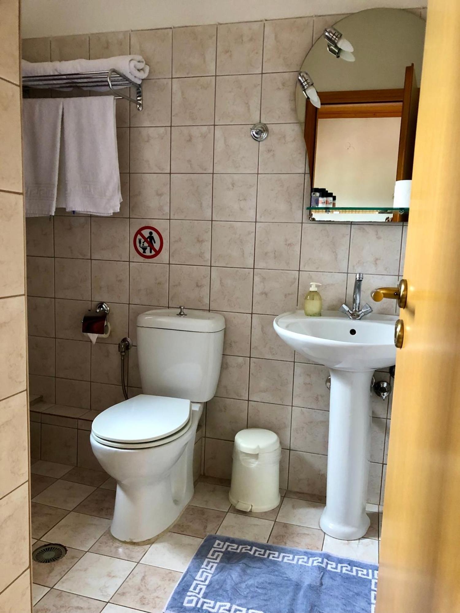 Apostolos Hotel Metsovo Pokoj fotografie
